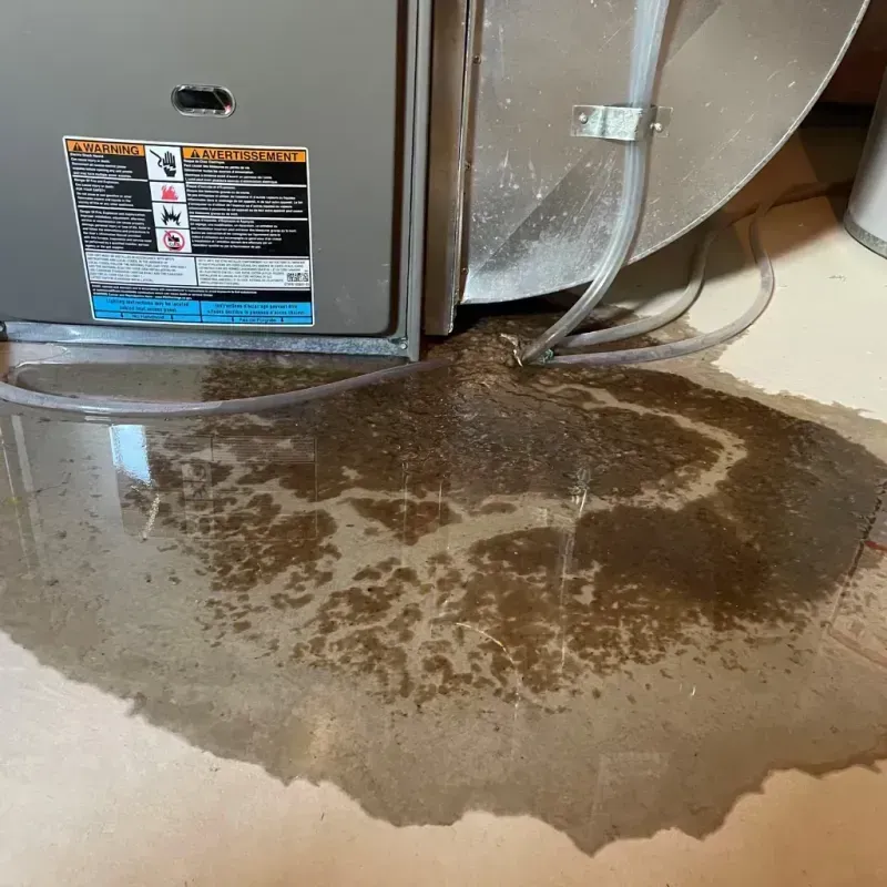 Appliance Leak Cleanup in Bedford Heights, OH